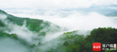 带你看看海南热带雨林国家公园的“绿色家底”