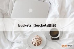 buckets翻译 buckets