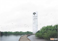 红树林上升起月之塔 海南东寨港保护区将建设地标性科研观测塔