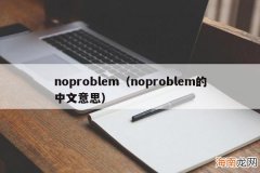 noproblem的中文意思 noproblem